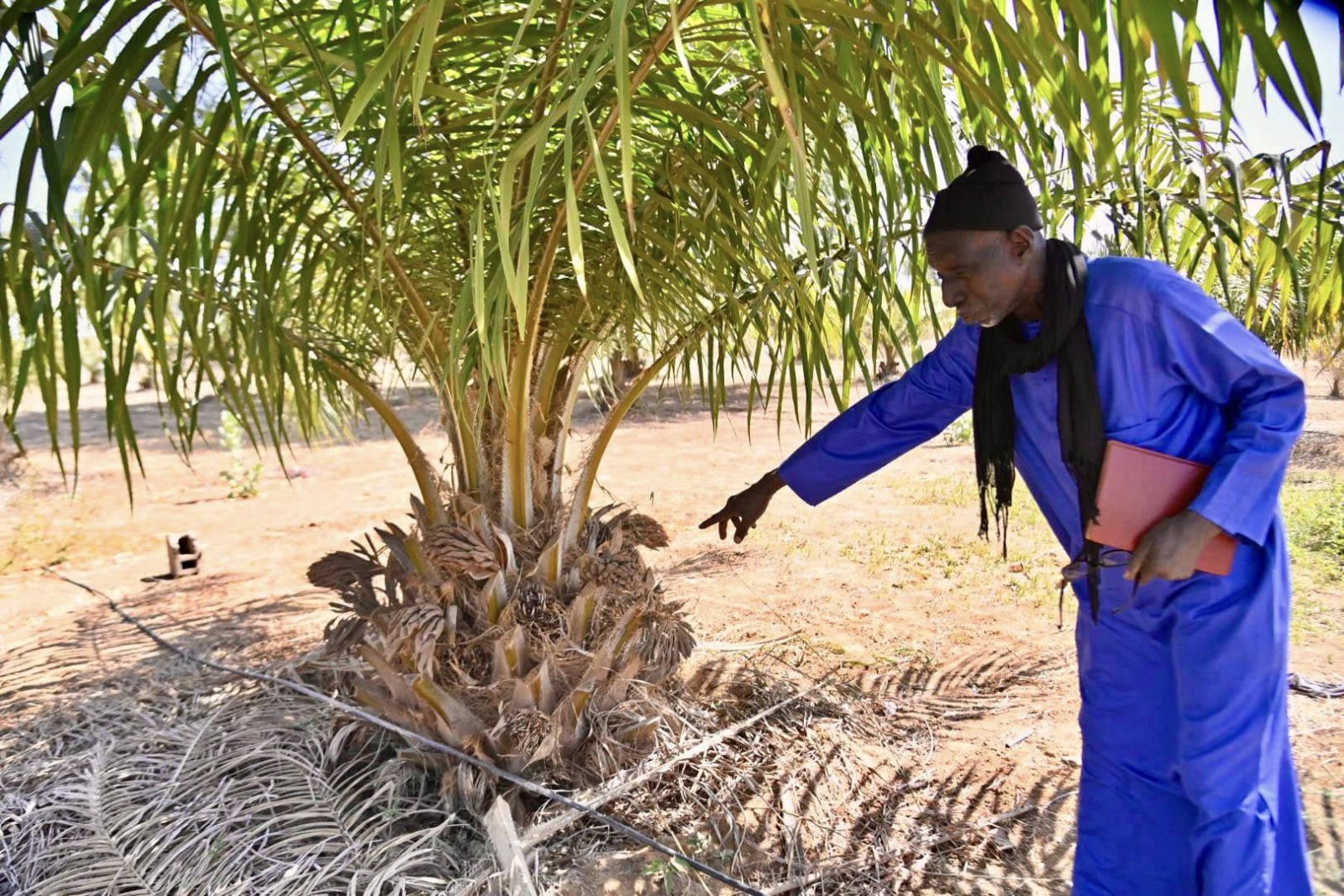 Le Directeur Général de la Recherche et de l’Innovation en visite dans les CRE de Bambey et Touba