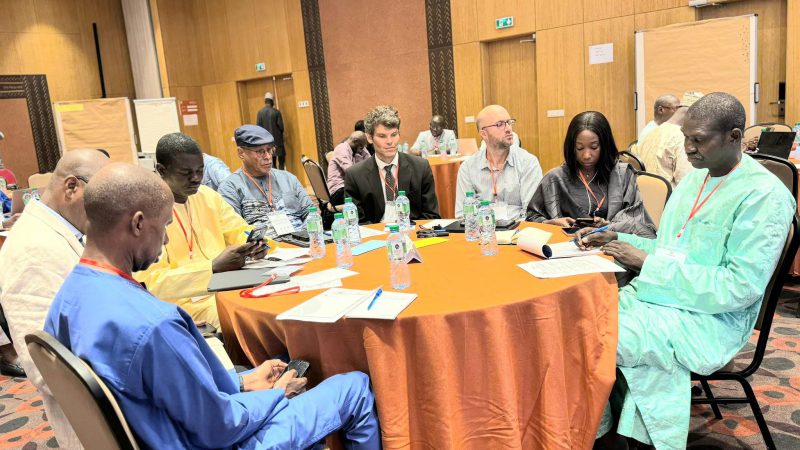 Atelier d’évaluation du Programme pour l’Efficacité énergétique et les Énergies renouvelables (PESEREE)