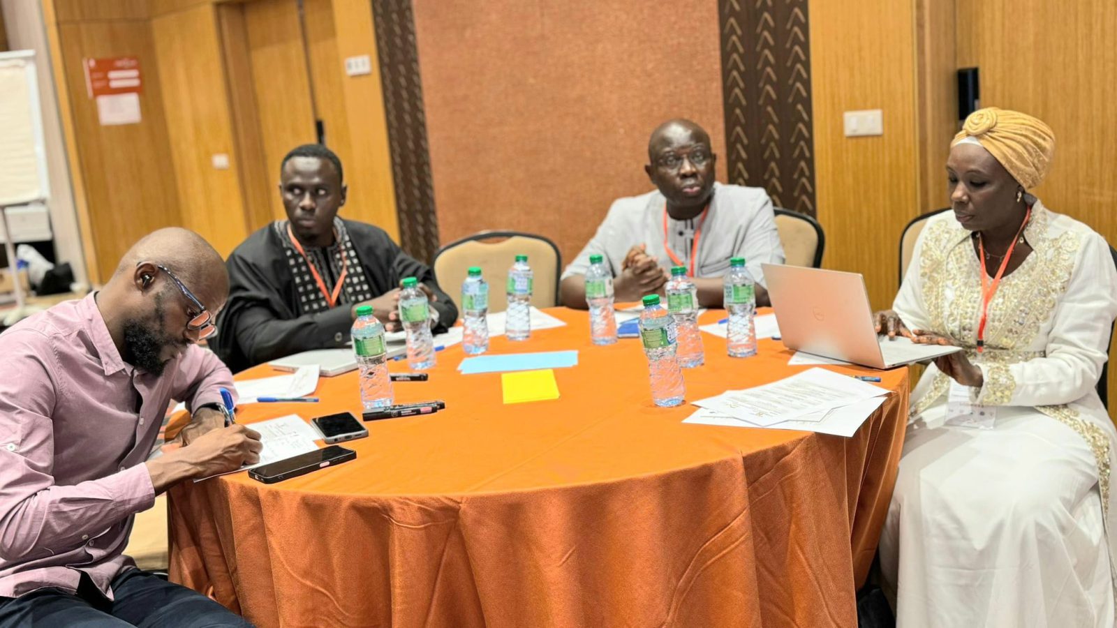 Atelier d’évaluation du Programme pour l’Efficacité énergétique et les Énergies renouvelables (PESEREE)