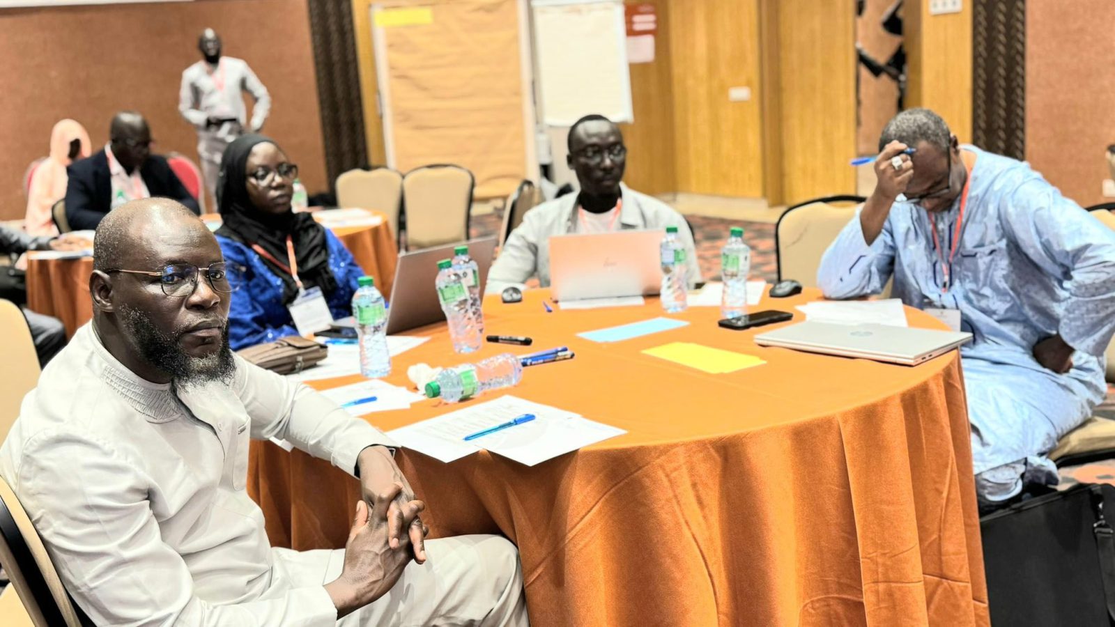 Atelier d’évaluation du Programme pour l’Efficacité énergétique et les Énergies renouvelables (PESEREE)