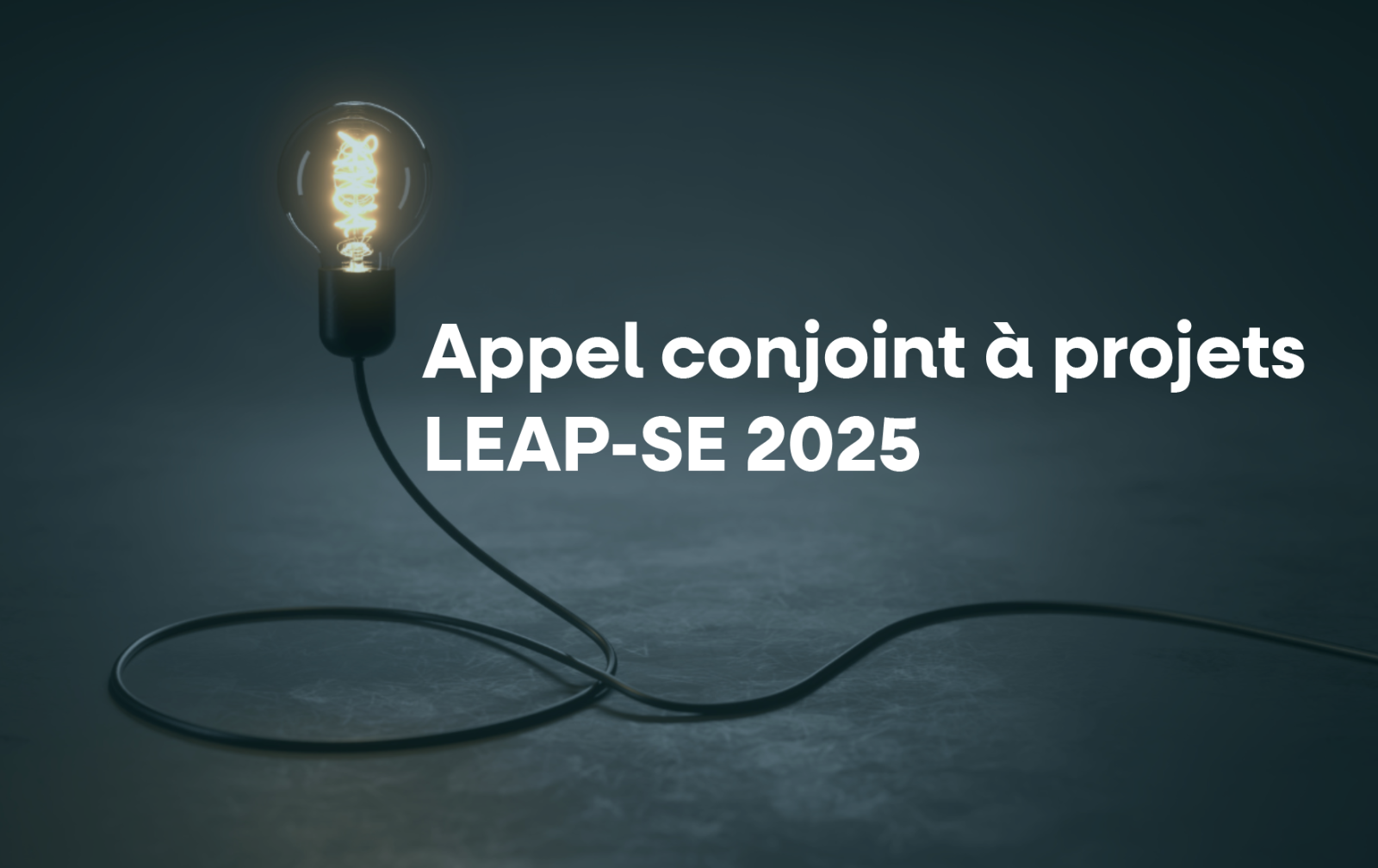 Appel conjoint à projets LEAP-SE 2025