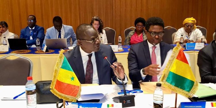 Lancement des travaux du Comité des experts de la 41e session du Conseil des Ministres du CAMES