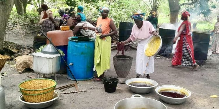 La Direction de la Recherche et de l’Innovation équipe les maraîchères de THIONK ESSYL